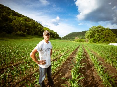 Self-Employed Farmer Stream