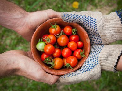 agriculture